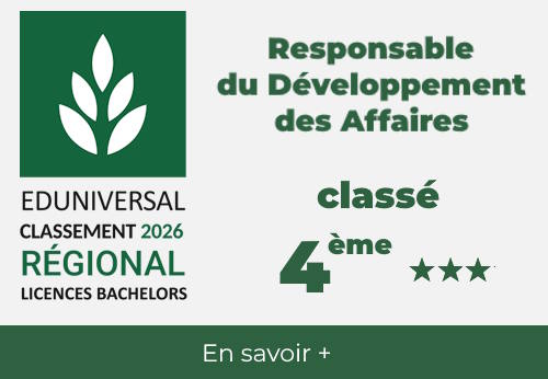 Programme Responsable du Développement des Affaires classé 4ème en Grand-Est